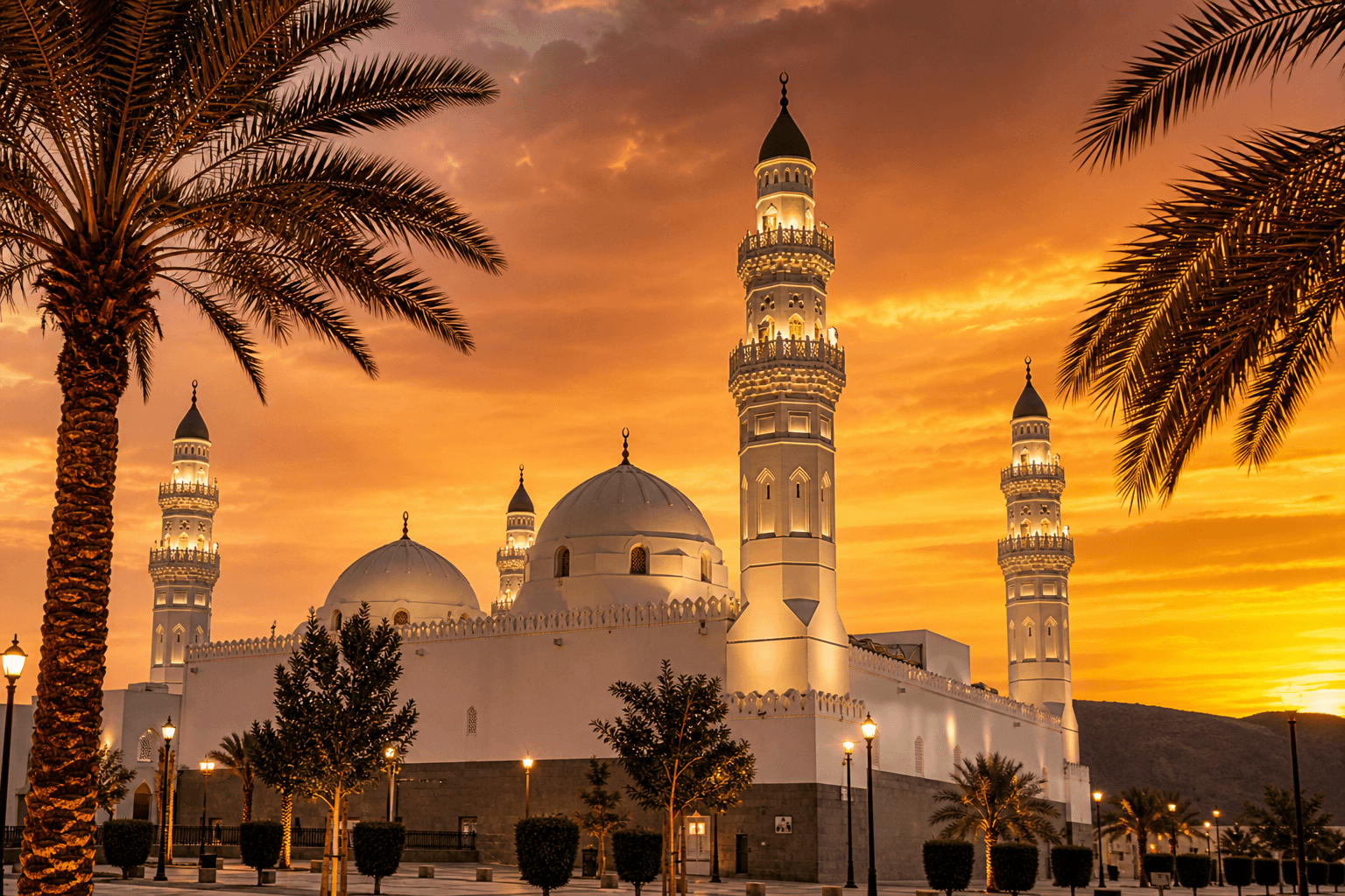 الزيارات والجولات